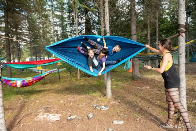 Salmonfest official social — 2025