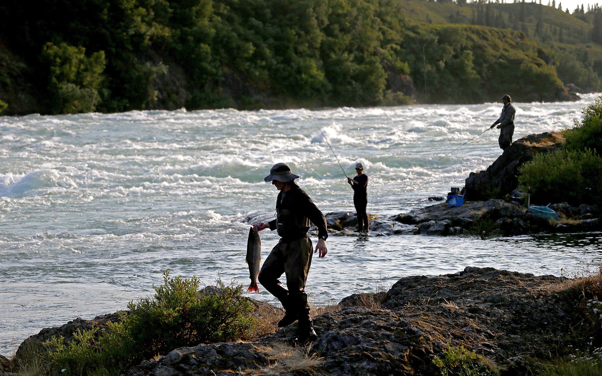Los Angeles Times — Salmonfest: Alaska's Premier Music + Conservation Event